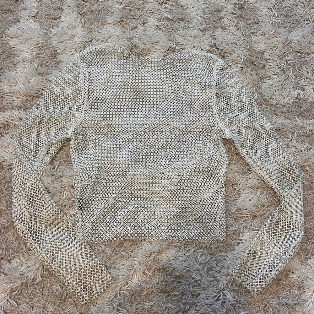 Silver Mesh Long Sleeve Top